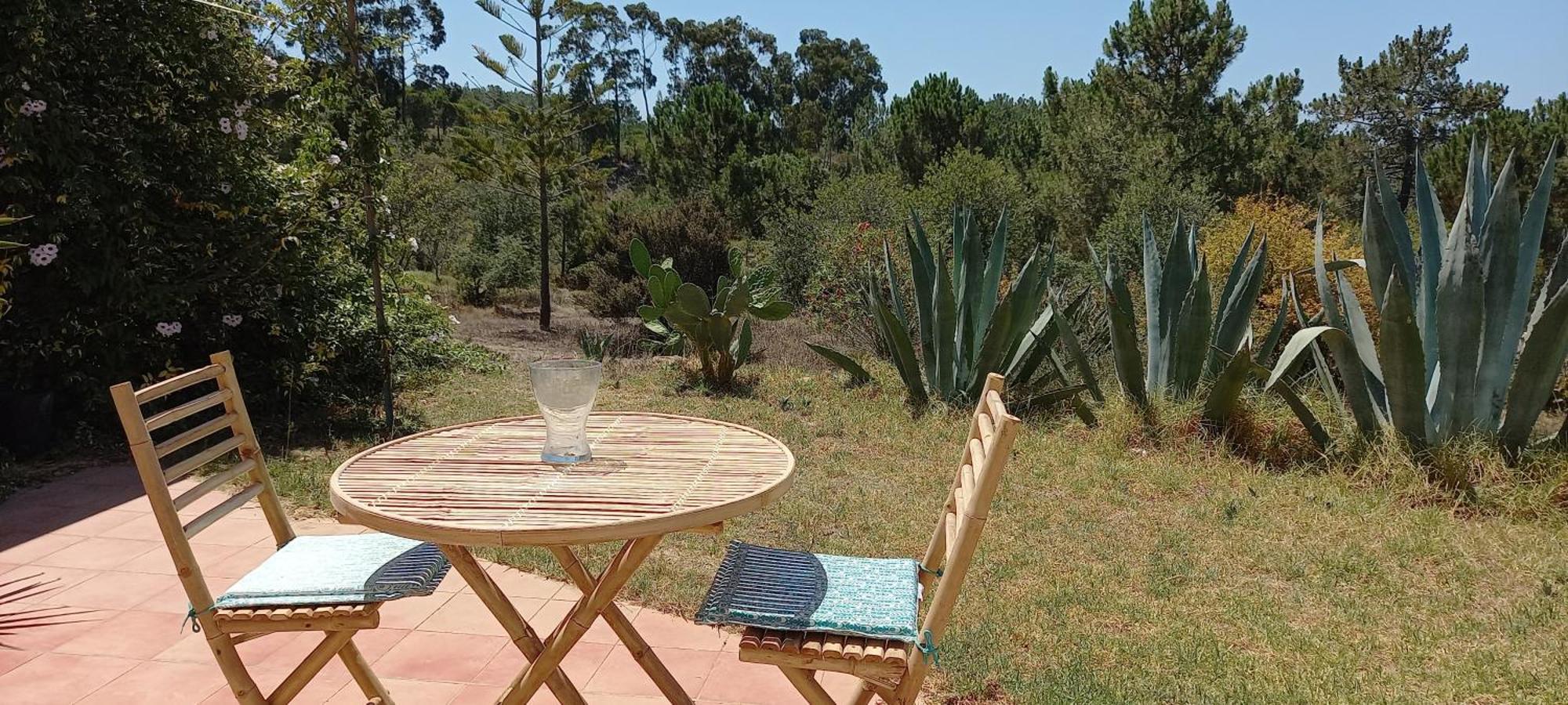 Monte Da Urze Aljezur - Agroturismo Eksteriør billede