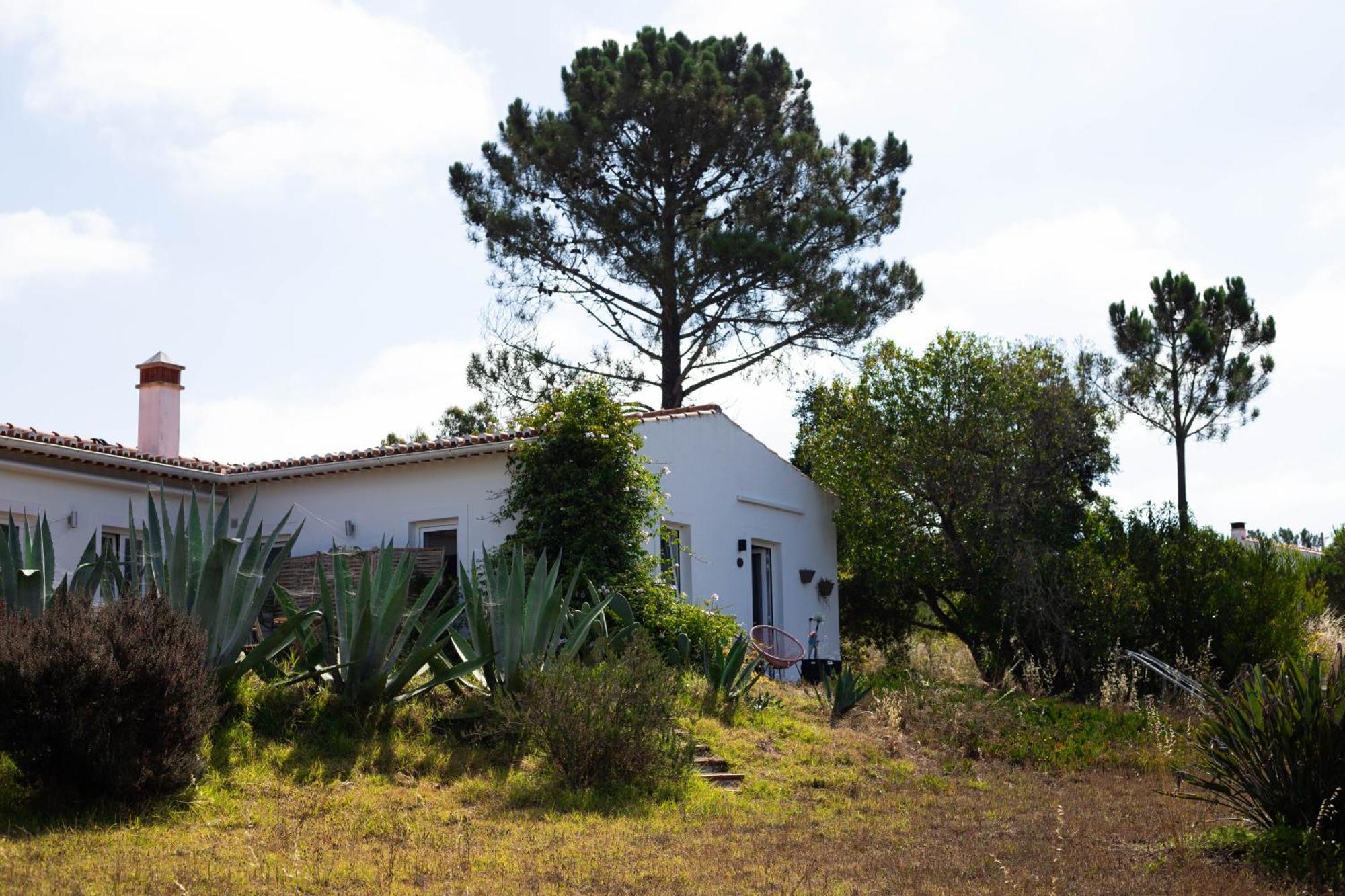 Monte Da Urze Aljezur - Agroturismo Eksteriør billede