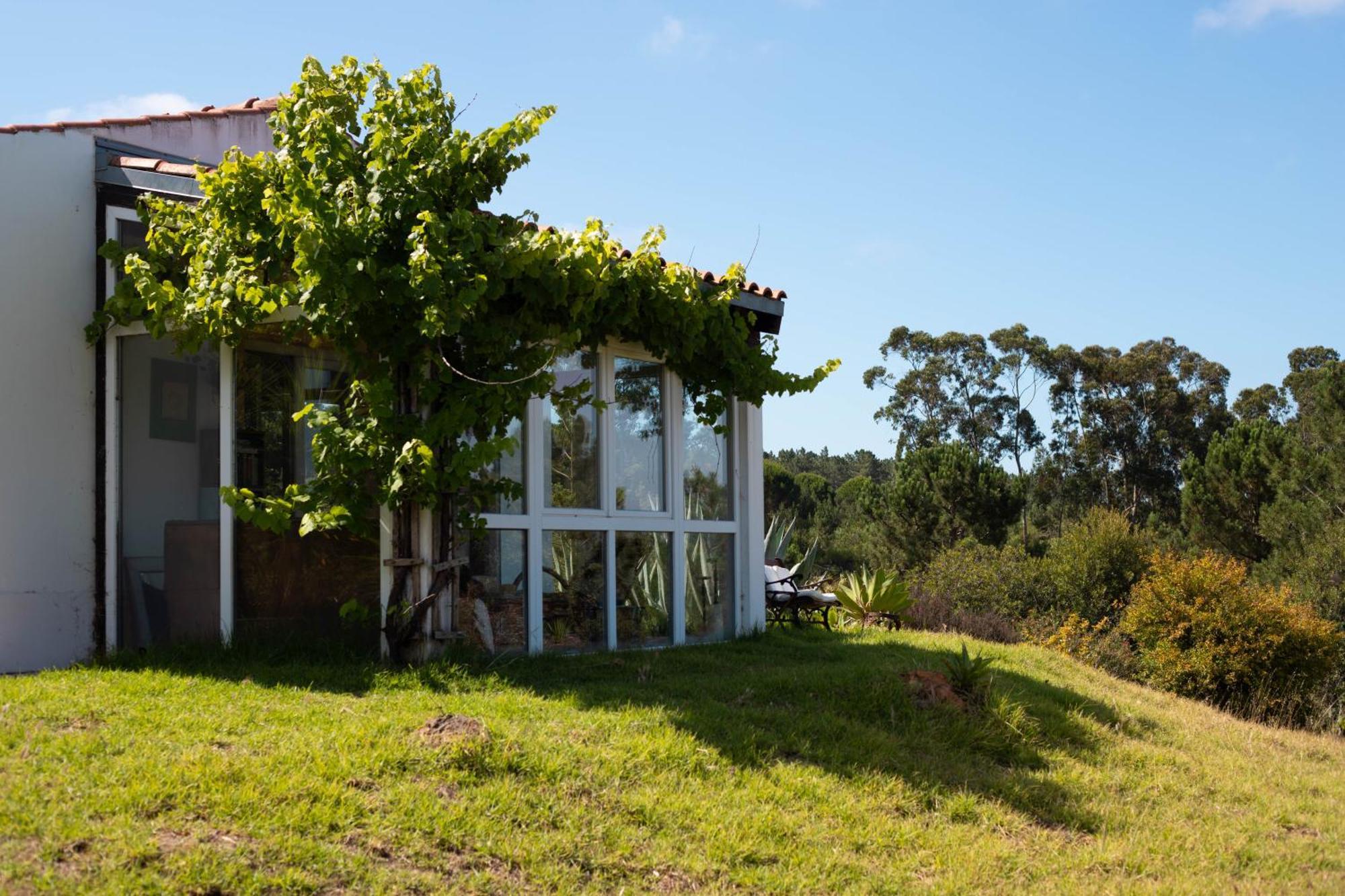 Monte Da Urze Aljezur - Agroturismo Eksteriør billede